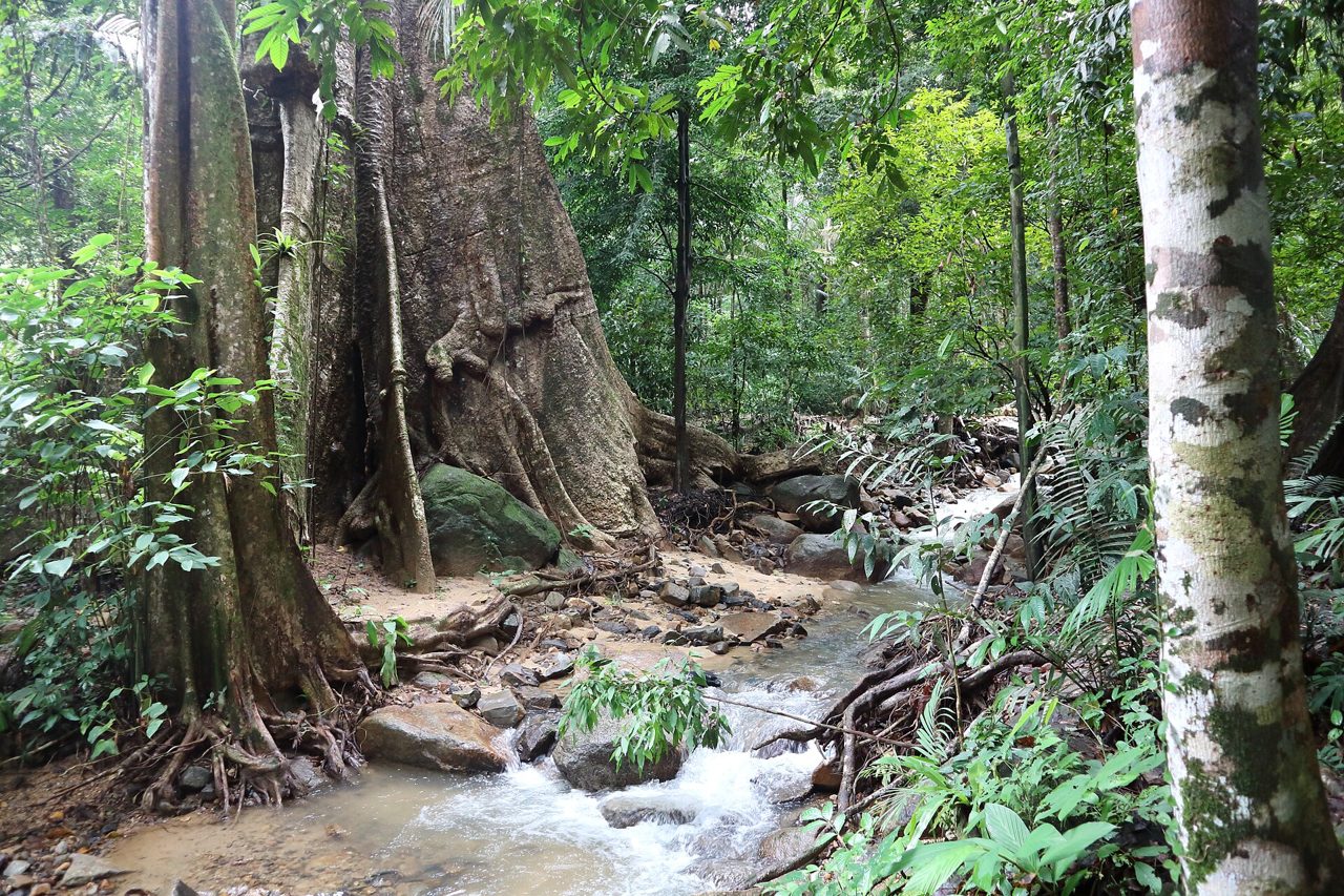 น้ำตกคลองจาก เกาะลันตา